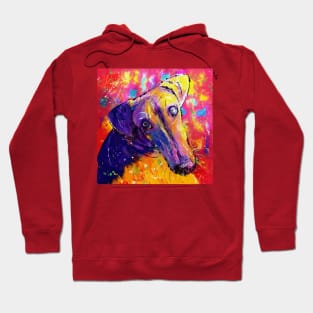 Caesar Saluki Hoodie